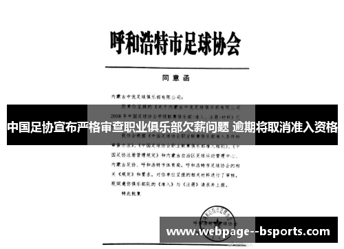 中国足协宣布严格审查职业俱乐部欠薪问题 逾期将取消准入资格